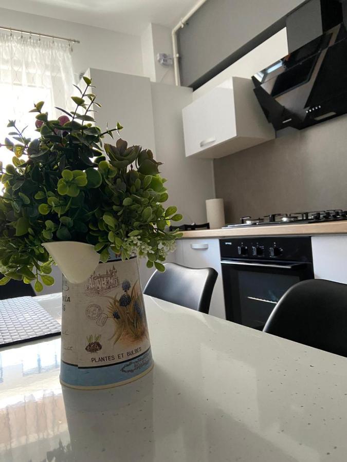 בראשוב Qualis Apartament מראה חיצוני תמונה